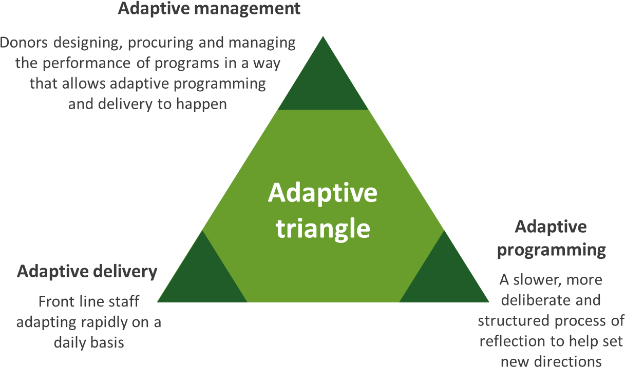 Adaptive Management Model Triangle PNG