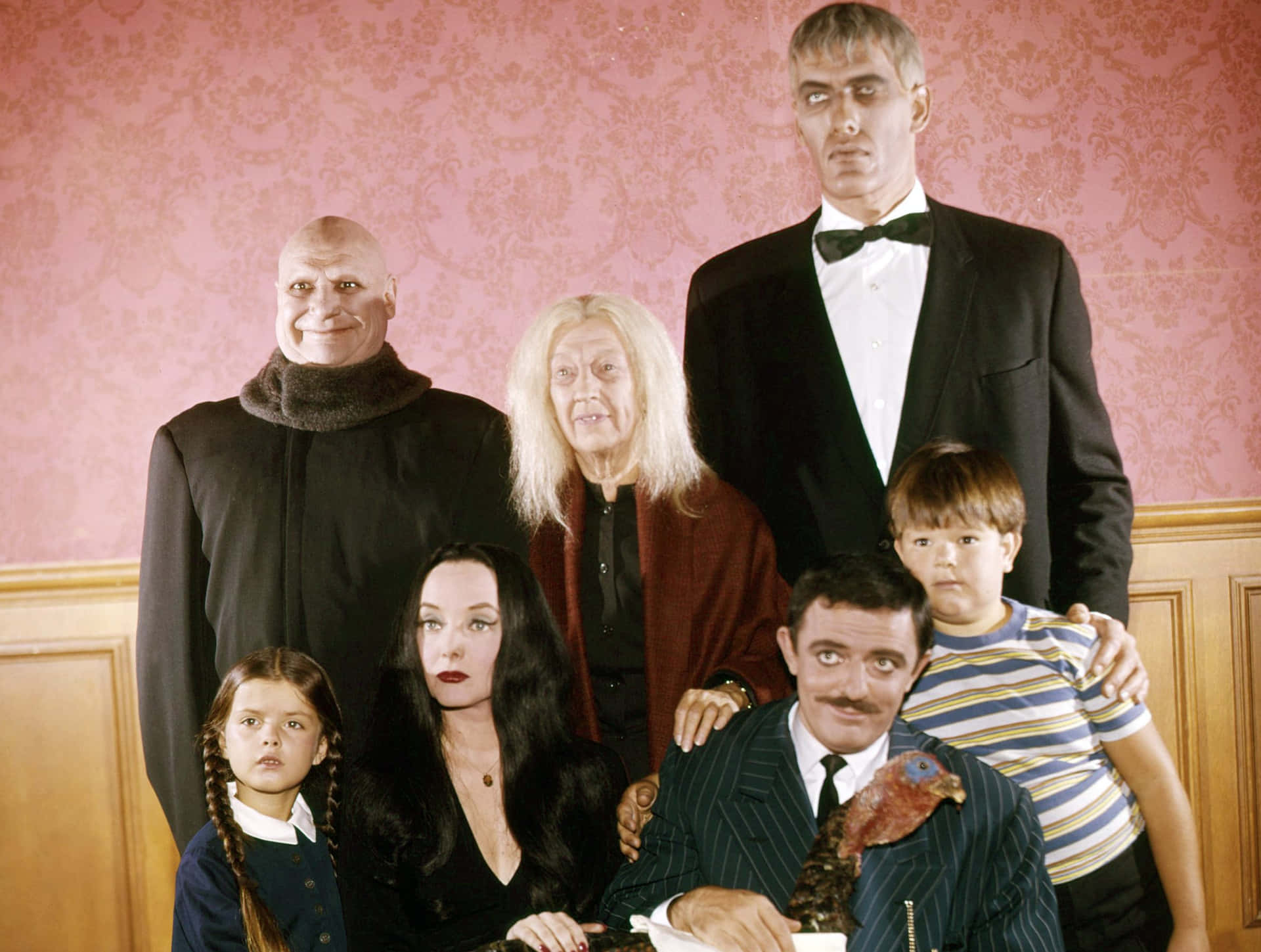 The Addams Family in Spooky Splendor