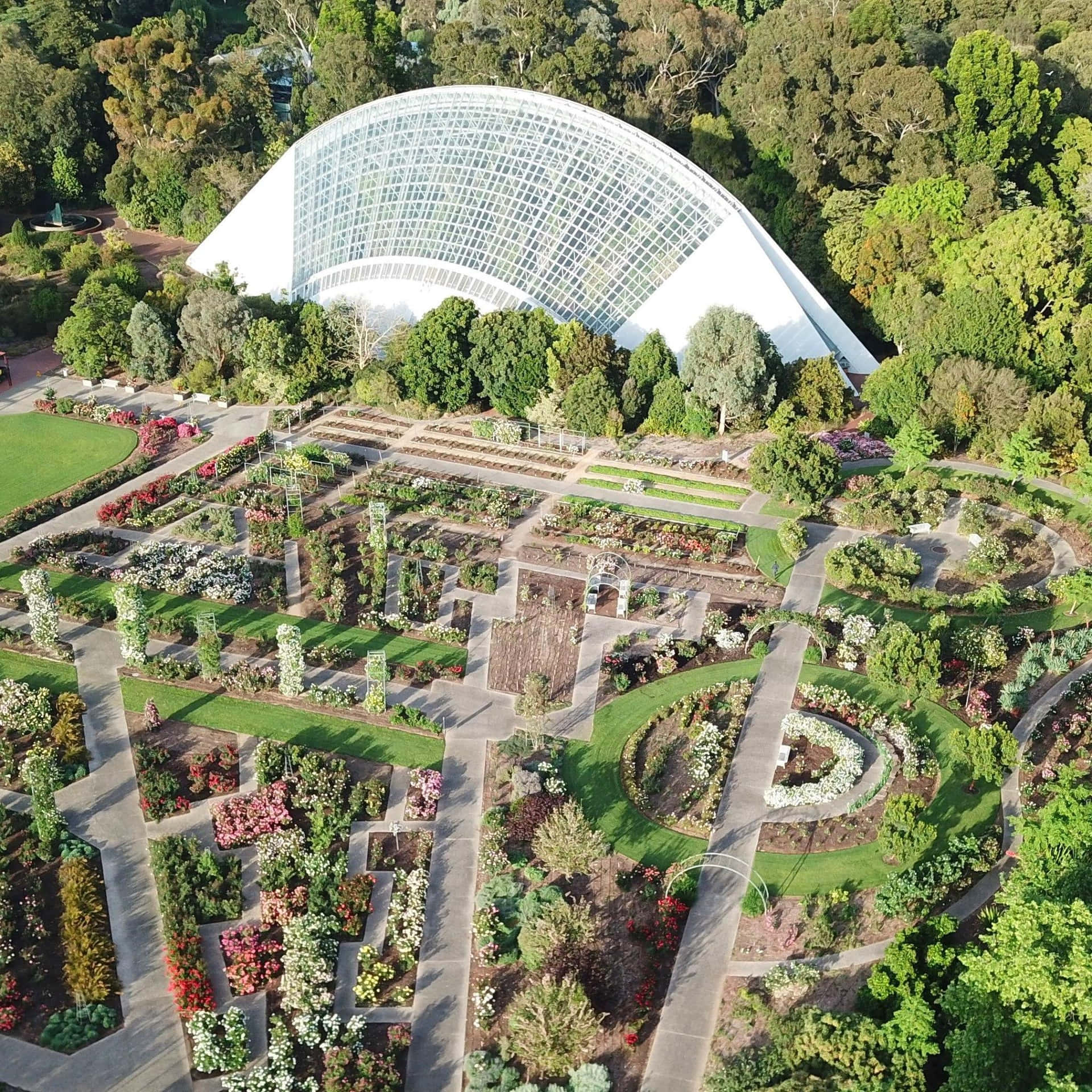 Adelaide Botanic Garden Aerial View Wallpaper