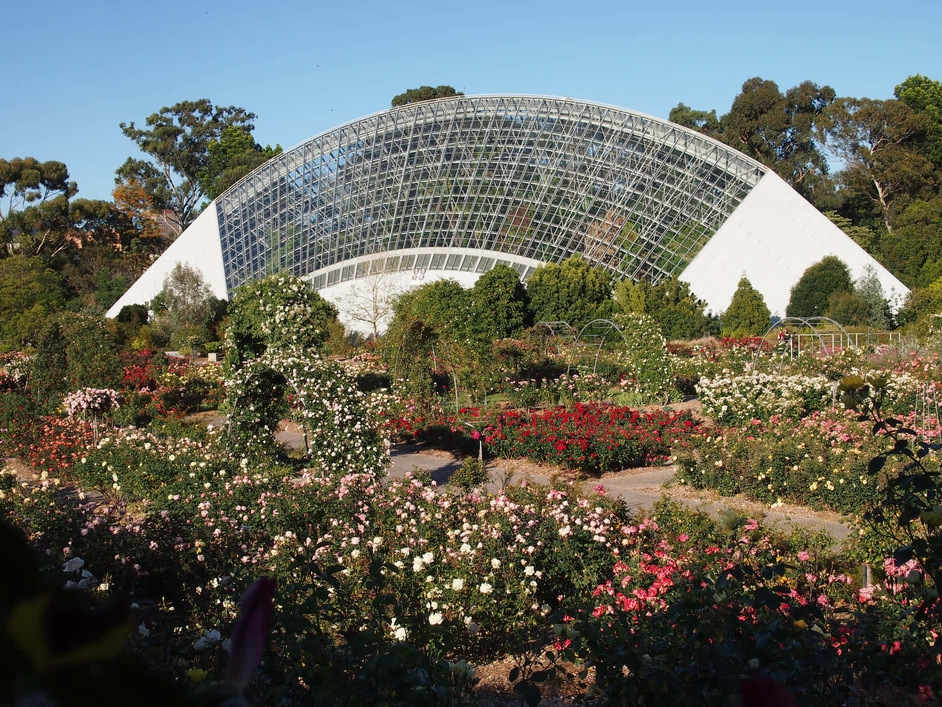 Adelaide Botanic Garden Bicentennial Conservatory Wallpaper
