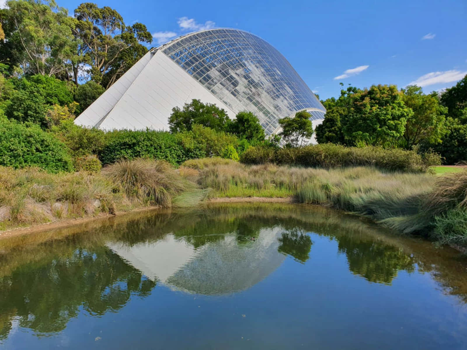 Adelaide Botanic Garden Bicentennial Conservatory Reflection Wallpaper