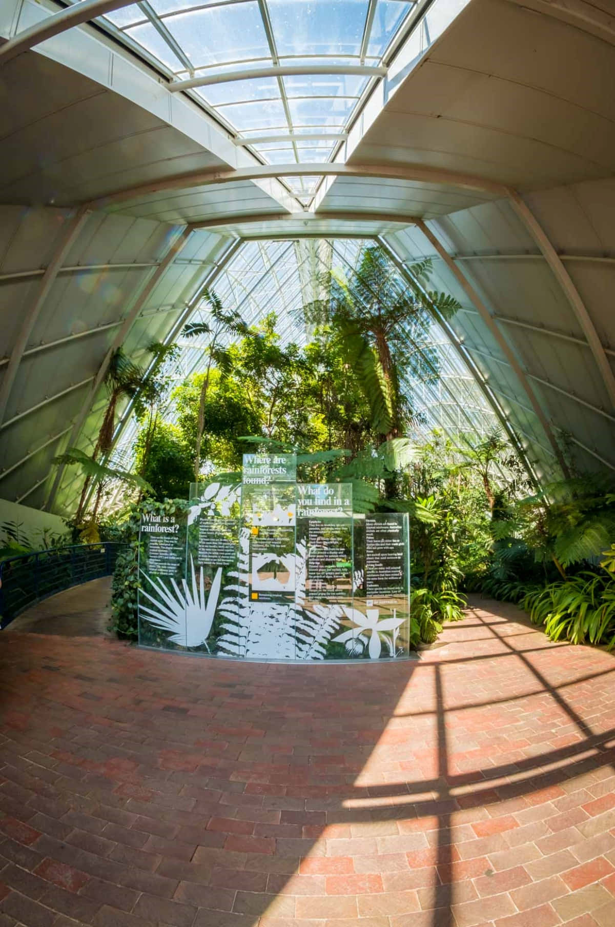Adelaide Botanic Garden Glasshouse Interior Wallpaper