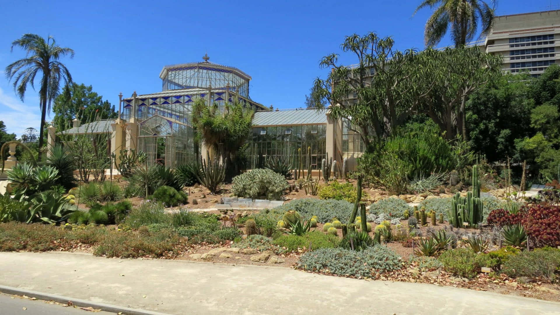 Adelaide Botanic Garden Glasshouseand Cacti Wallpaper