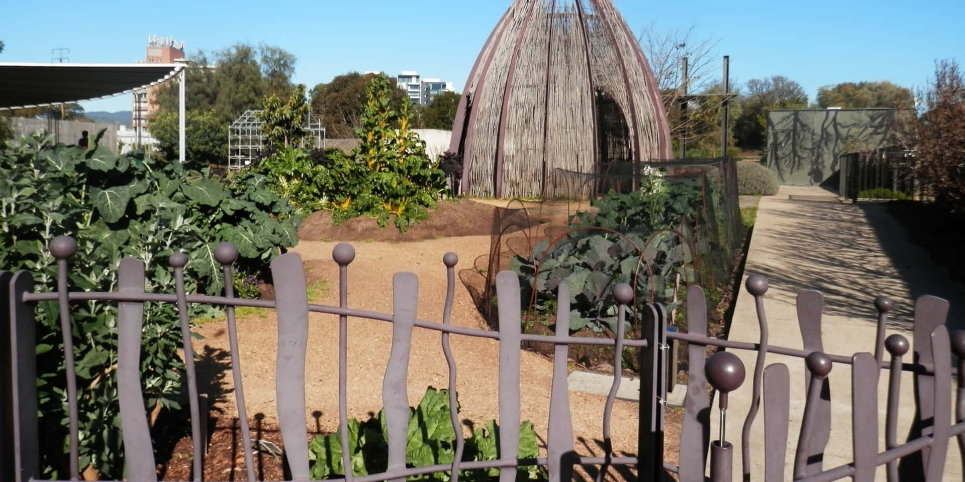 Adelaide Botanic Garden Kitchen Garden View Wallpaper
