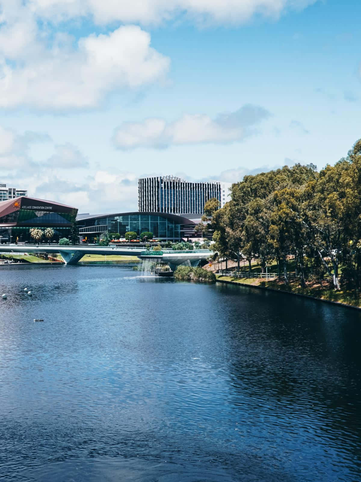 Adelaide Festival Centre River Torrens View Wallpaper
