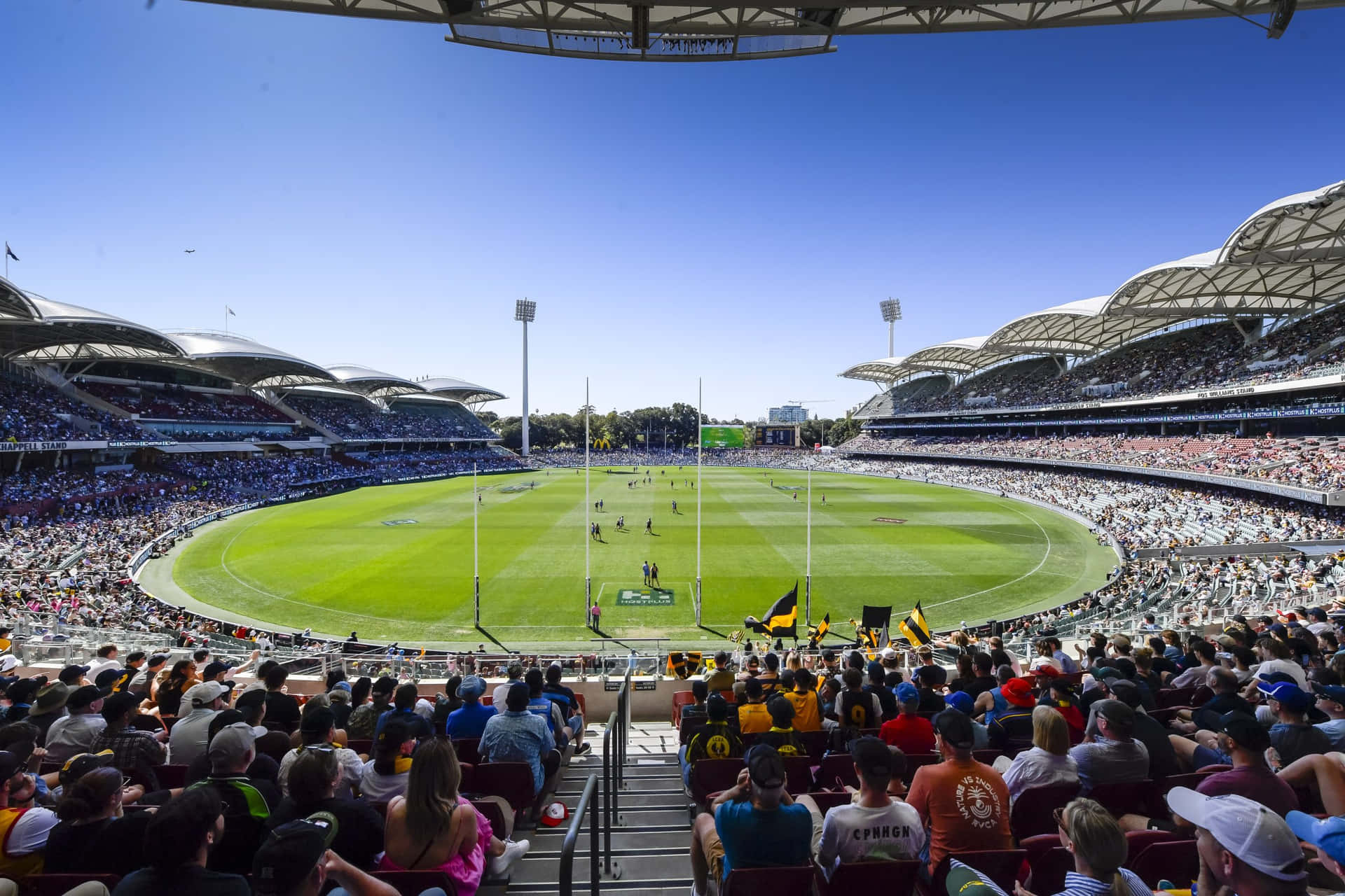 Adelaide Oval Cricket Match Day Wallpaper