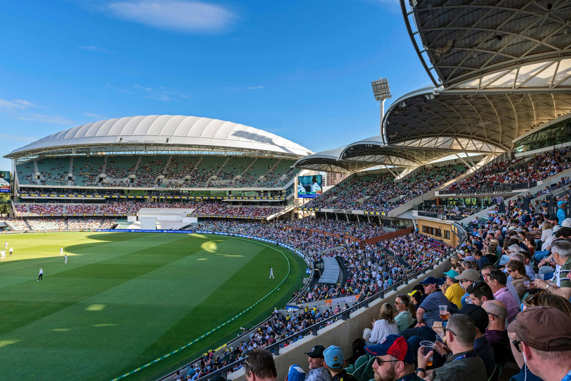 Adelaide Oval Cricket Match Day Wallpaper