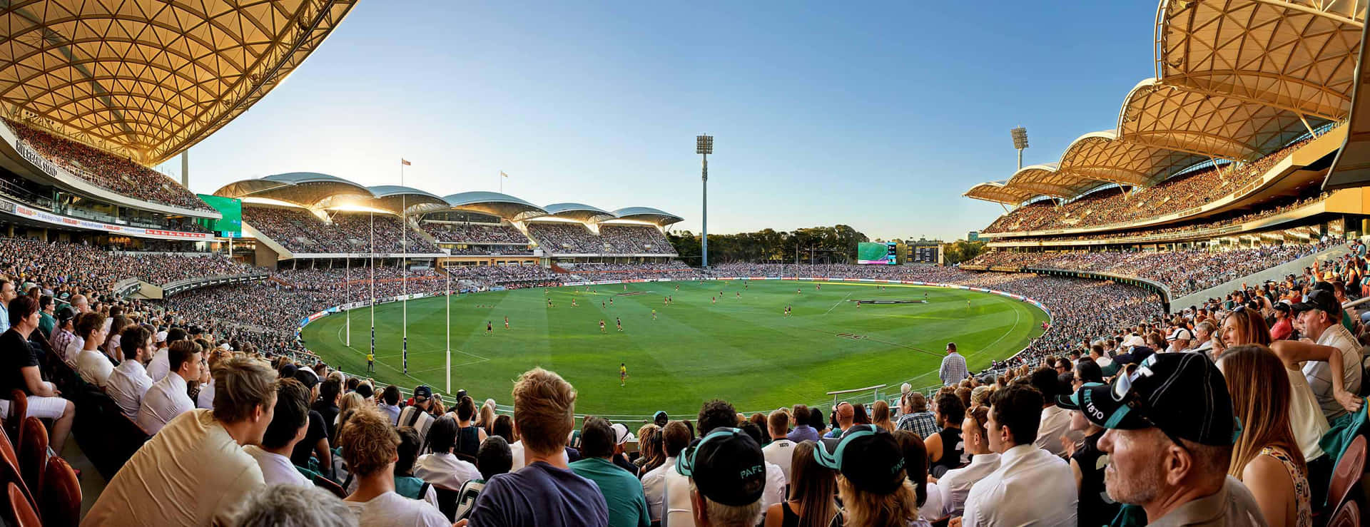 Adelaide Oval Cricket Match Panorama Wallpaper