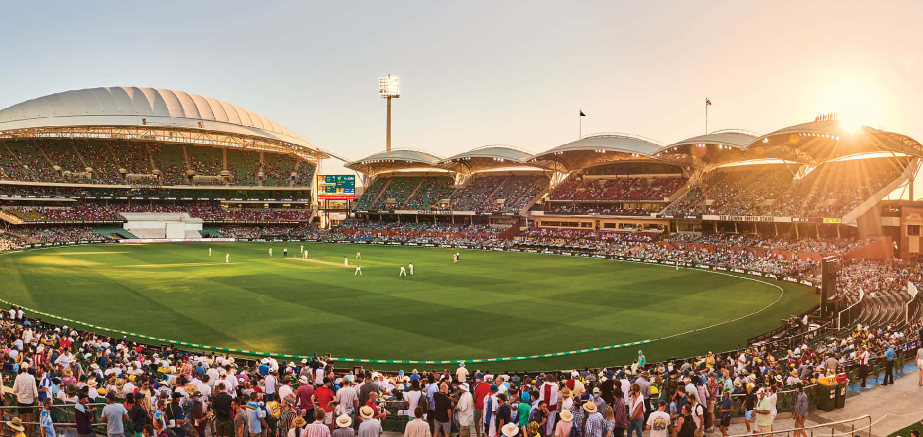 Adelaide Oval Cricket Match Sunset Wallpaper