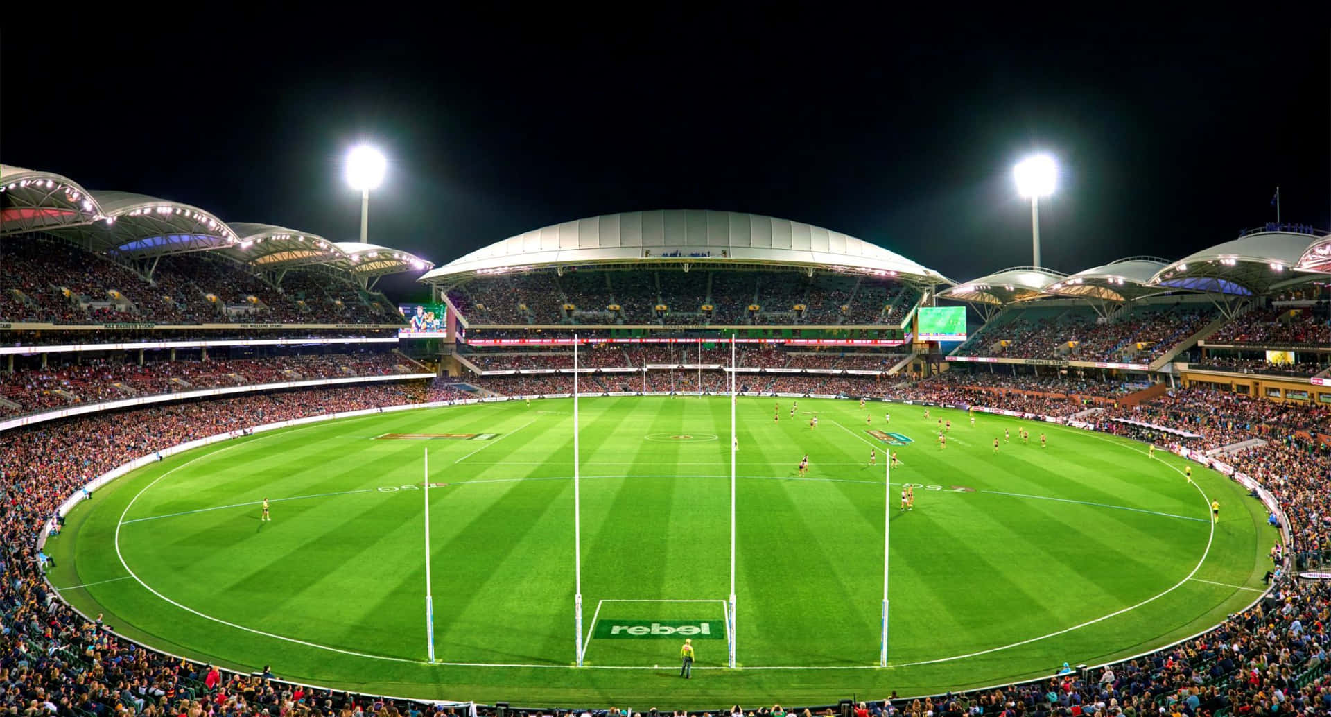 Adelaide Oval Night Match A F L Wallpaper