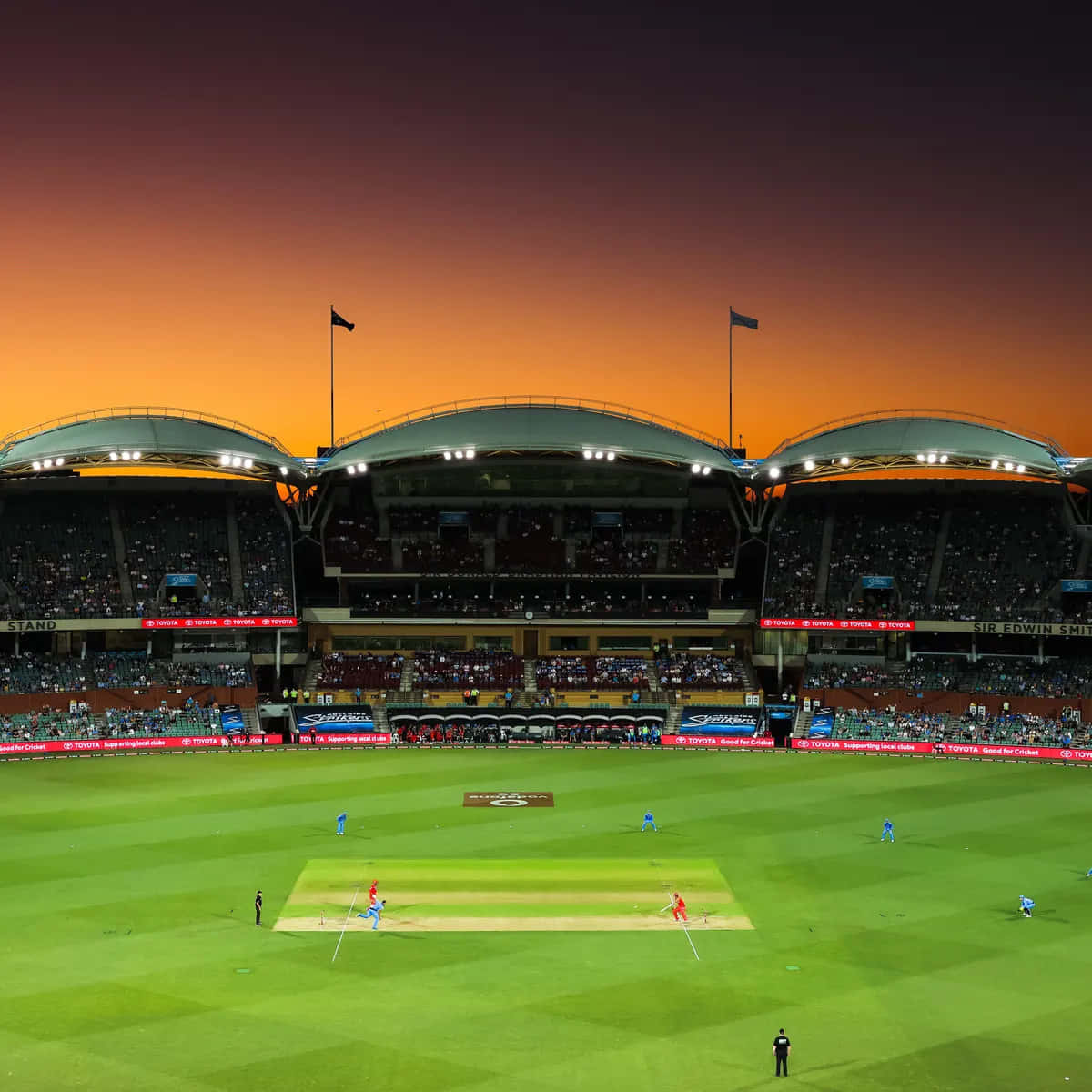 Adelaide Oval Sunset Cricket Match Wallpaper
