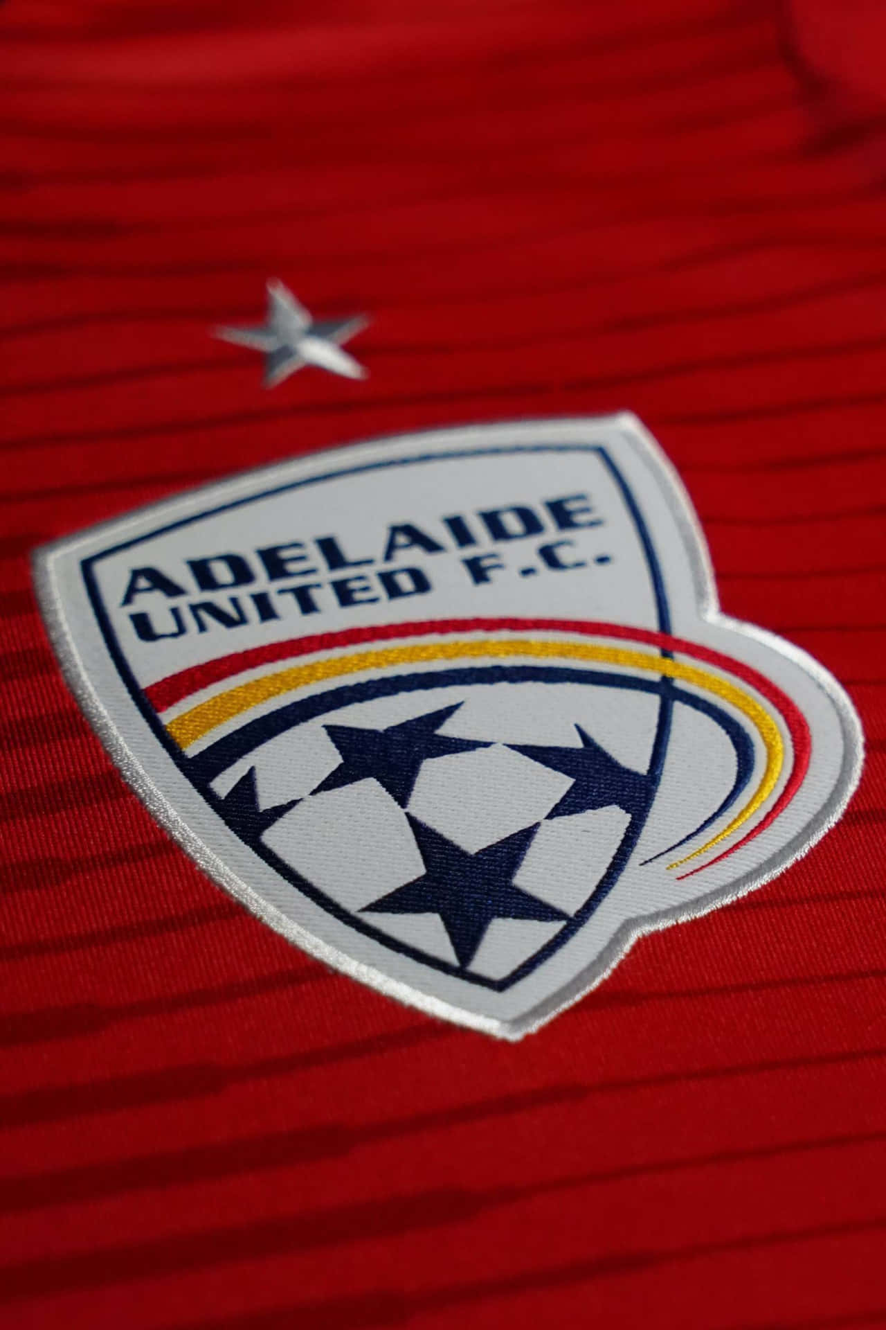 Adelaide United Players Celebrating Victory Wallpaper