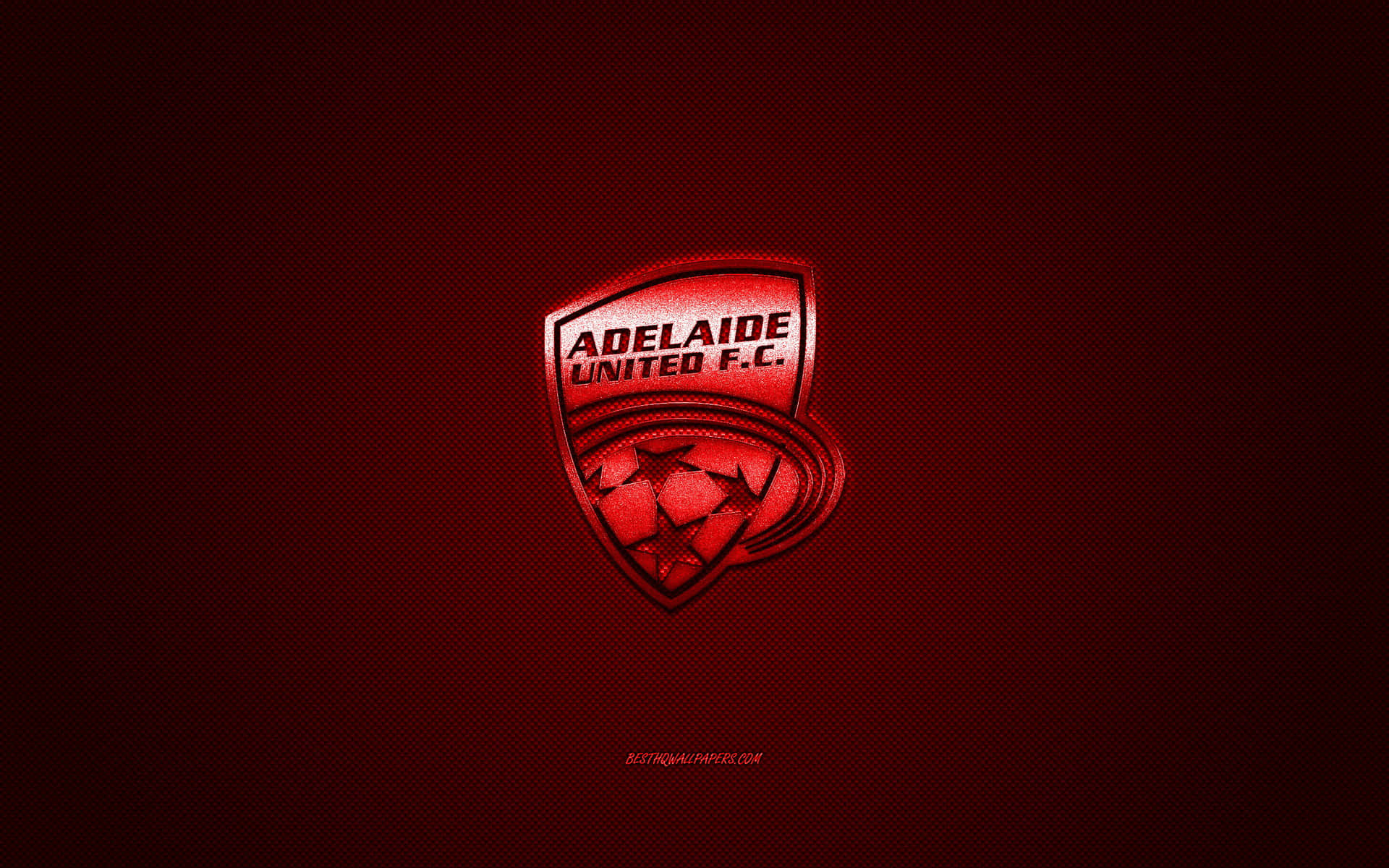 Adelaide United players celebrating their victory on the field Wallpaper