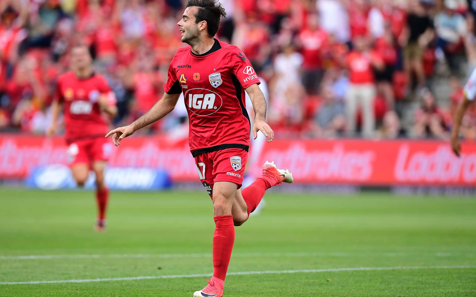 Adelaide United-spillere Feirer Seier Bakgrunnsbildet