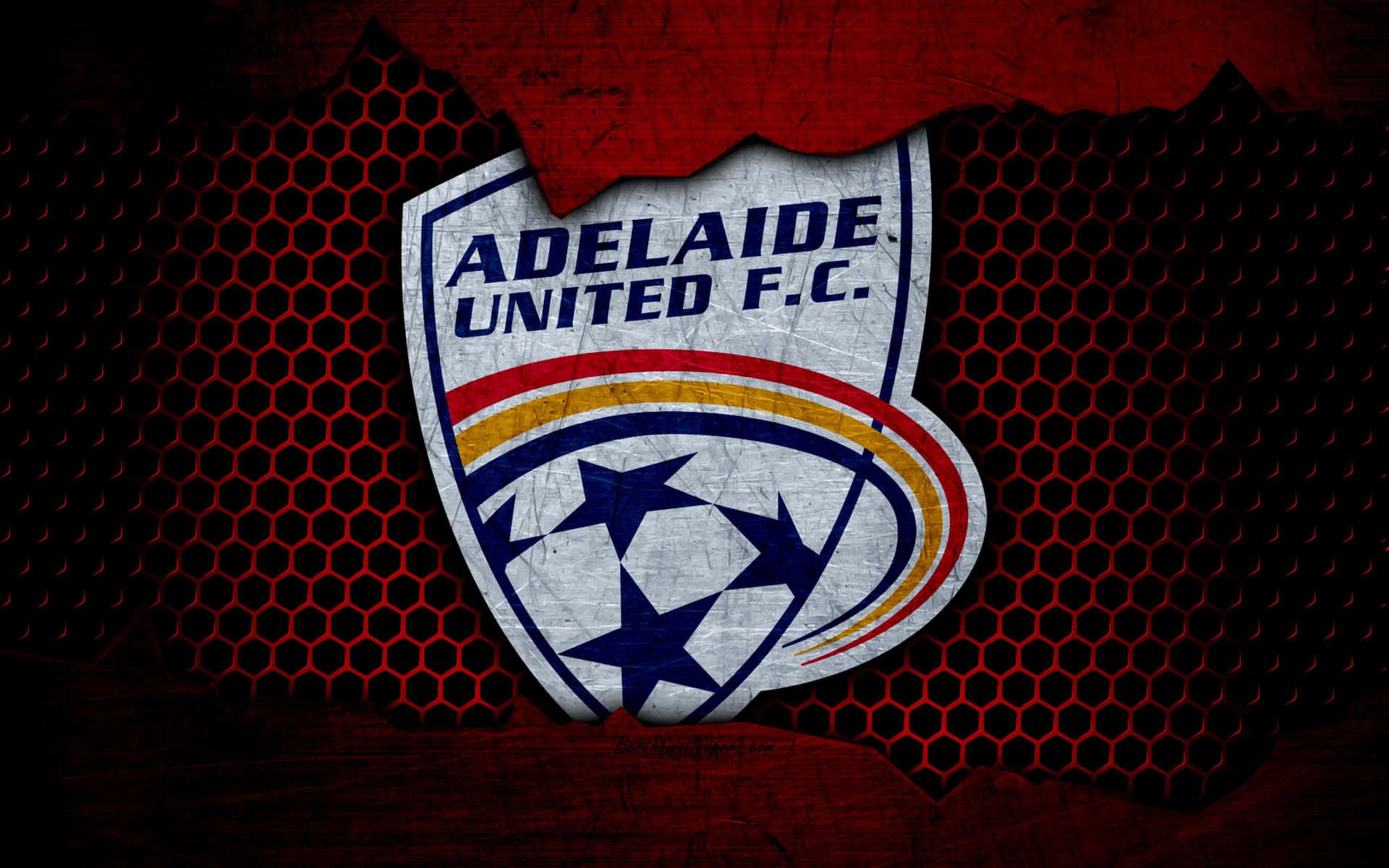 Adelaide United Players Celebrate on the Field Wallpaper