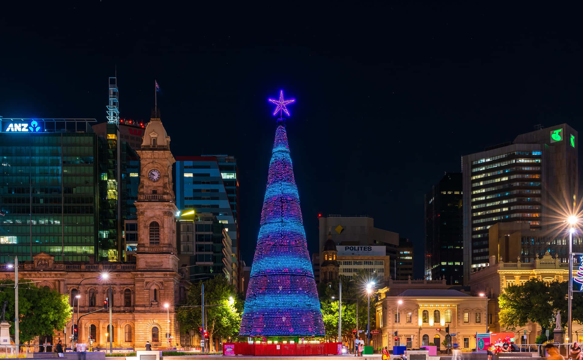 Adelaide Victoria Square Kerstboom Nacht Achtergrond