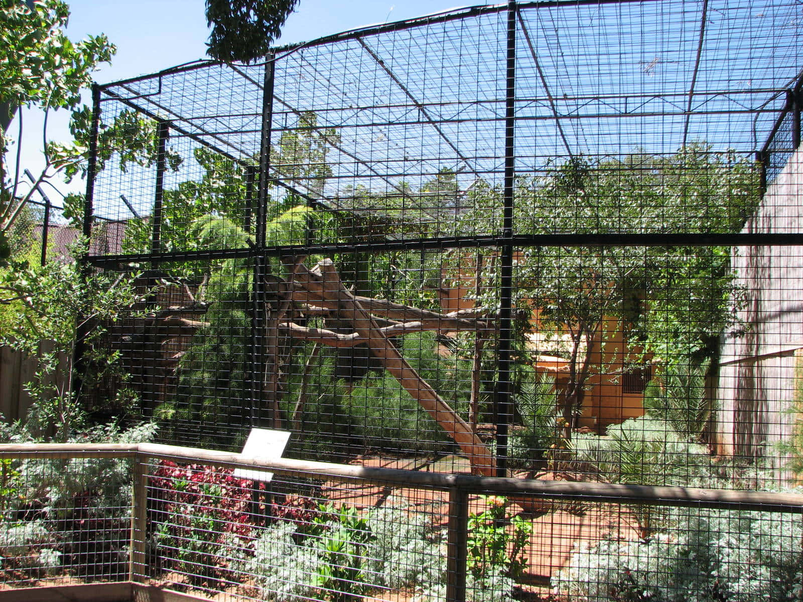 Adelaide Zoo_ Aviary Enclosure.jpg Wallpaper