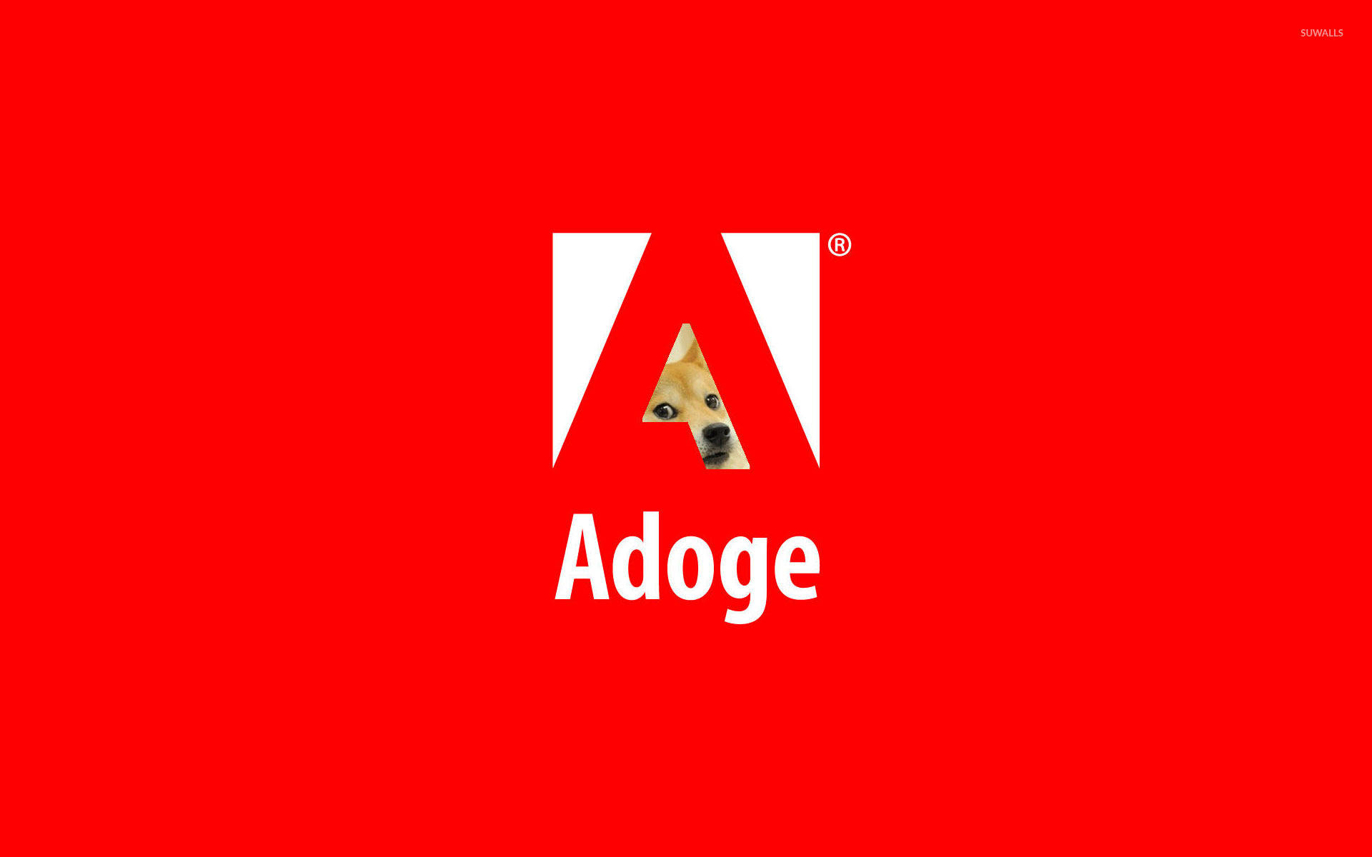 Adoge Doge Meme Wallpaper