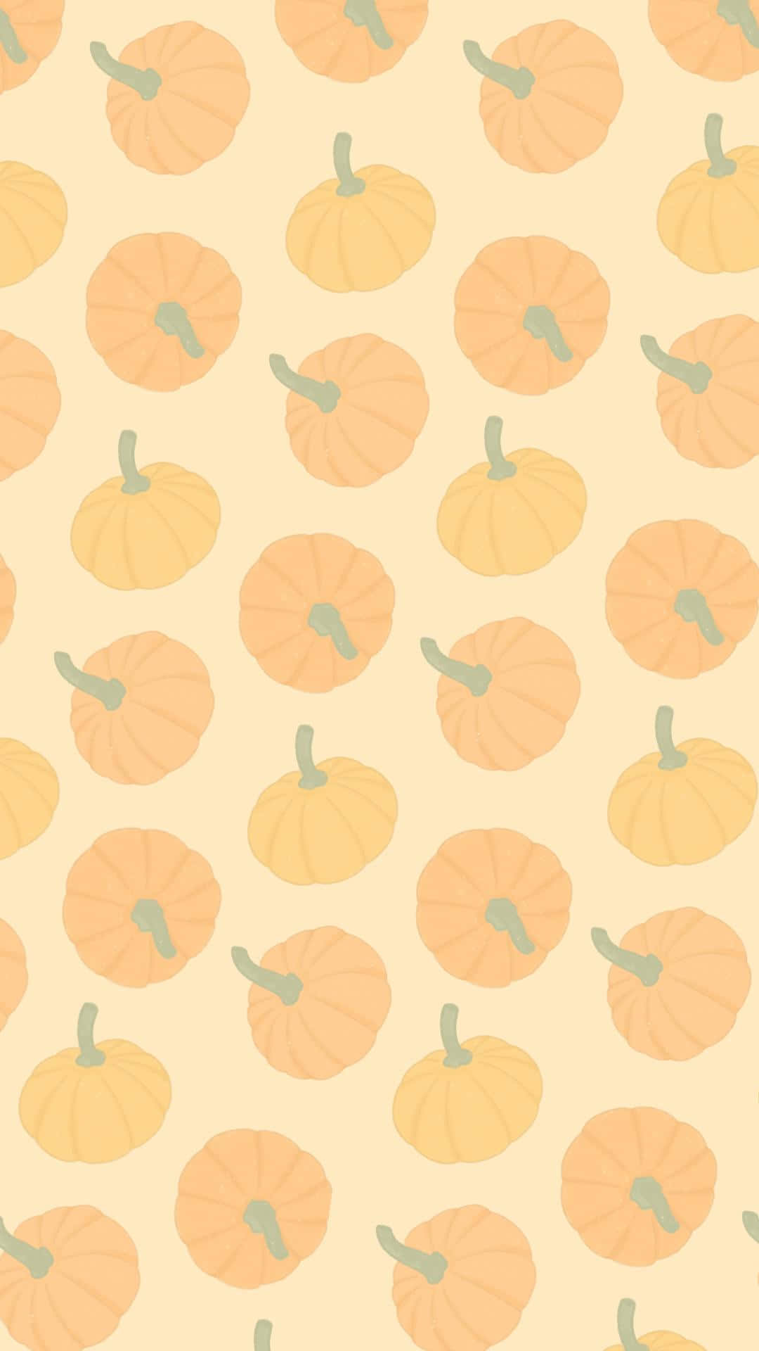 Download Adorable Autumn Pumpkin Display | Wallpapers.com
