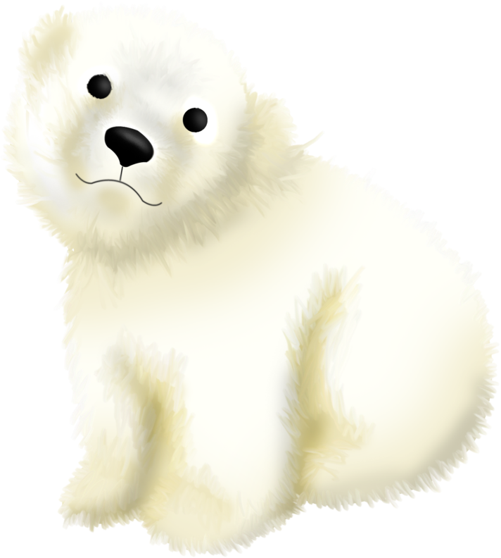 Adorable Baby Polar Bear Illustration PNG