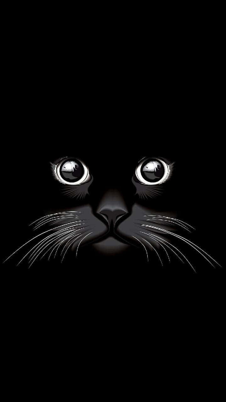 Adorable Black Cat Eyes Graphic Art Background