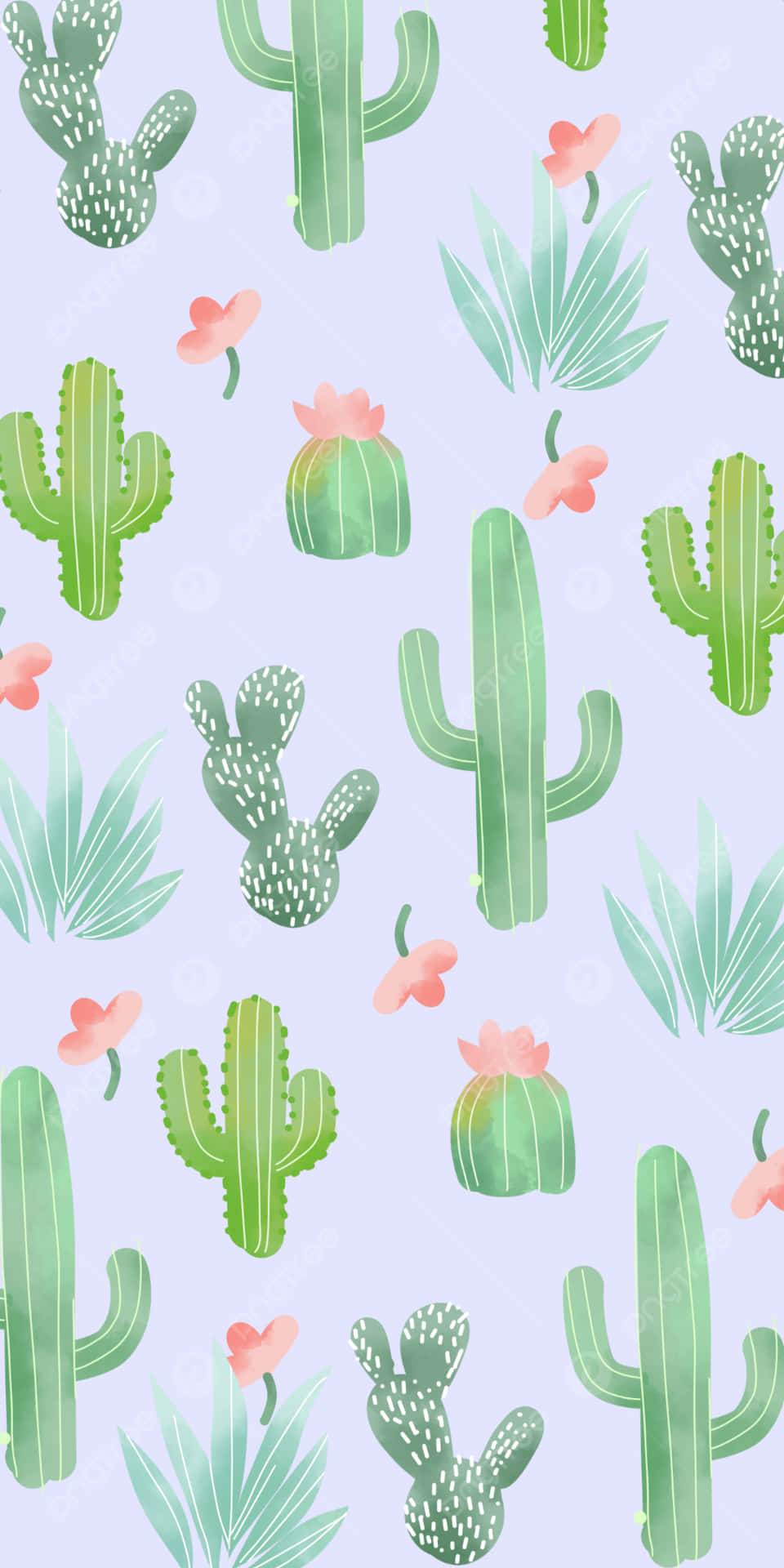 Adorable Cactus Flower Wallpaper
