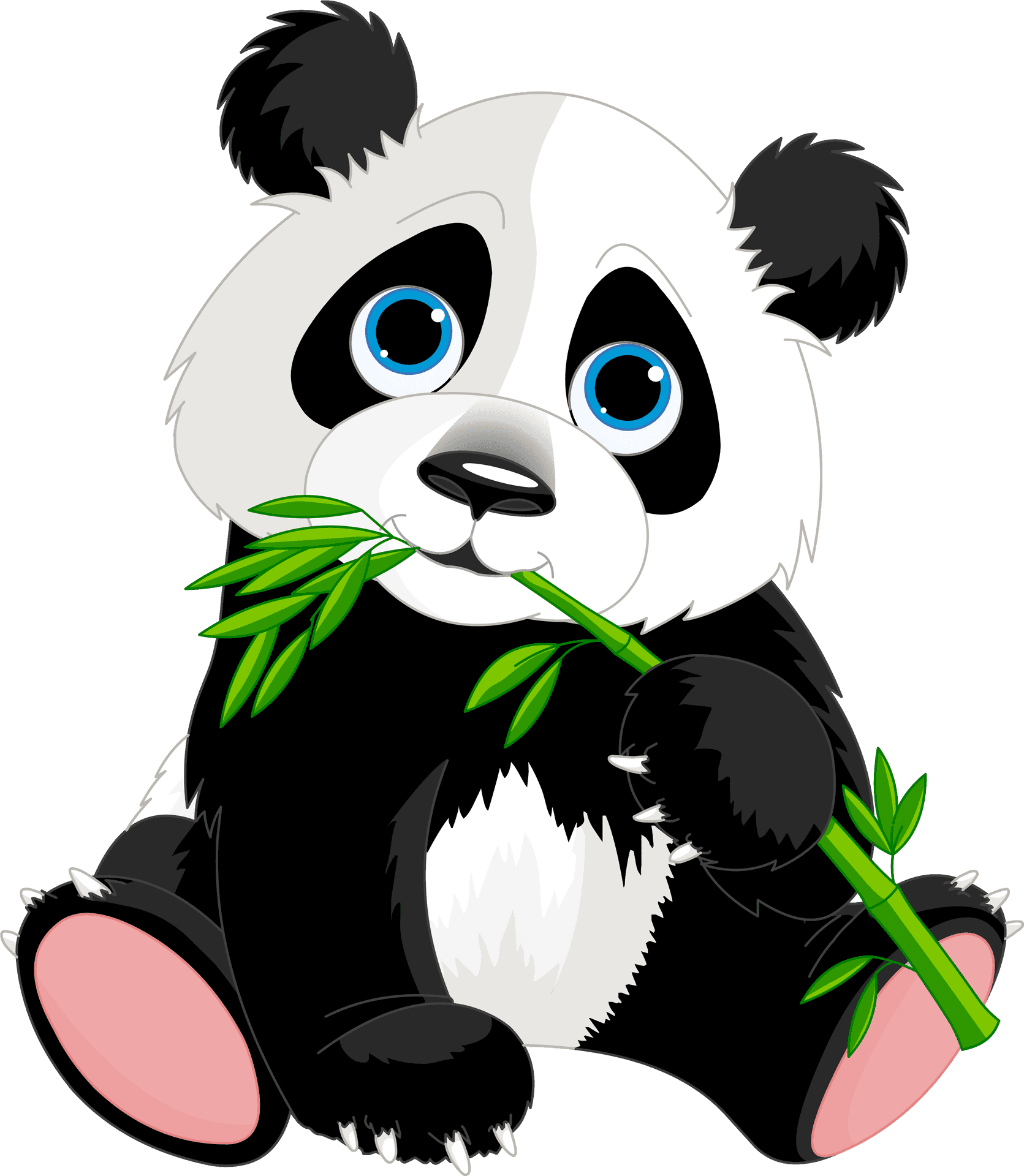 Adorable Cartoon Panda Eating Bamboo PNG
