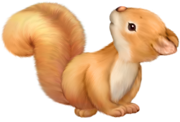 Adorable Cartoon Squirrel PNG