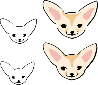 Adorable Chihuahua Faces Illustration PNG