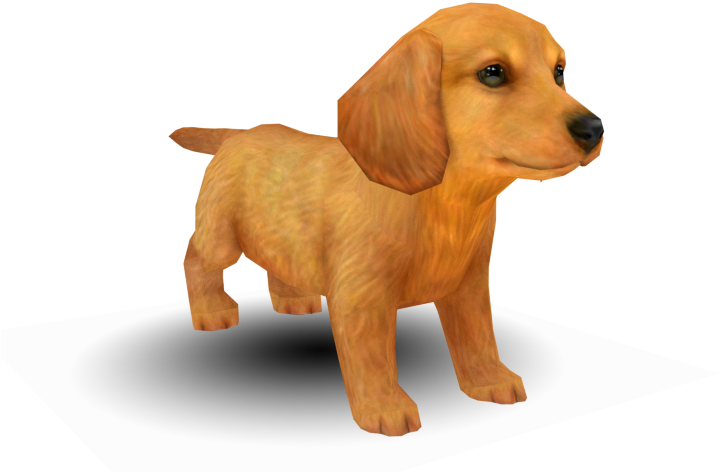 Adorable Dachshund Puppy Graphic PNG