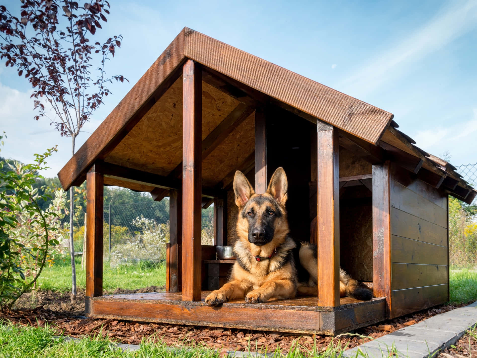 Adorable Dog Lounging In A Stylish Wooden Dog House Wallpaper