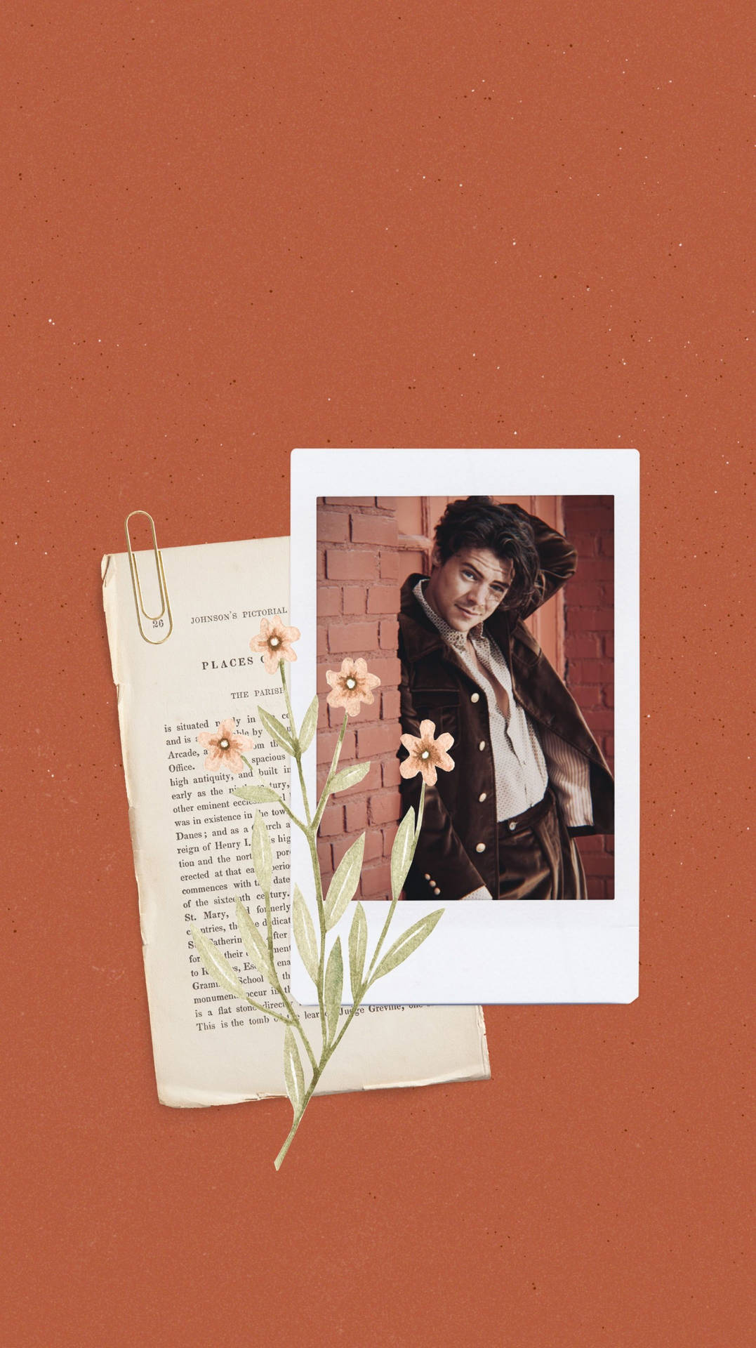 Adorable Harry Styles Aesthetic Display Wallpaper