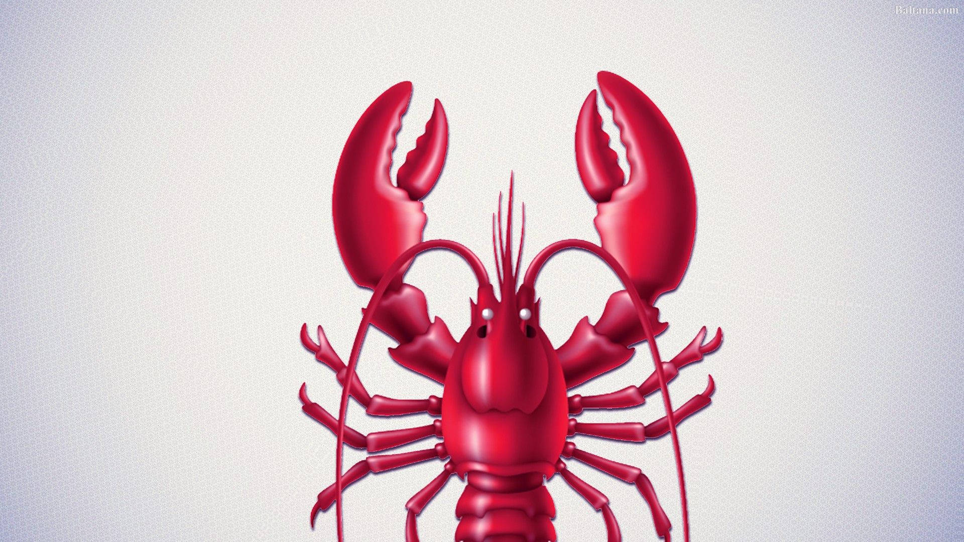 Adorable Lobster Illustration Wallpaper