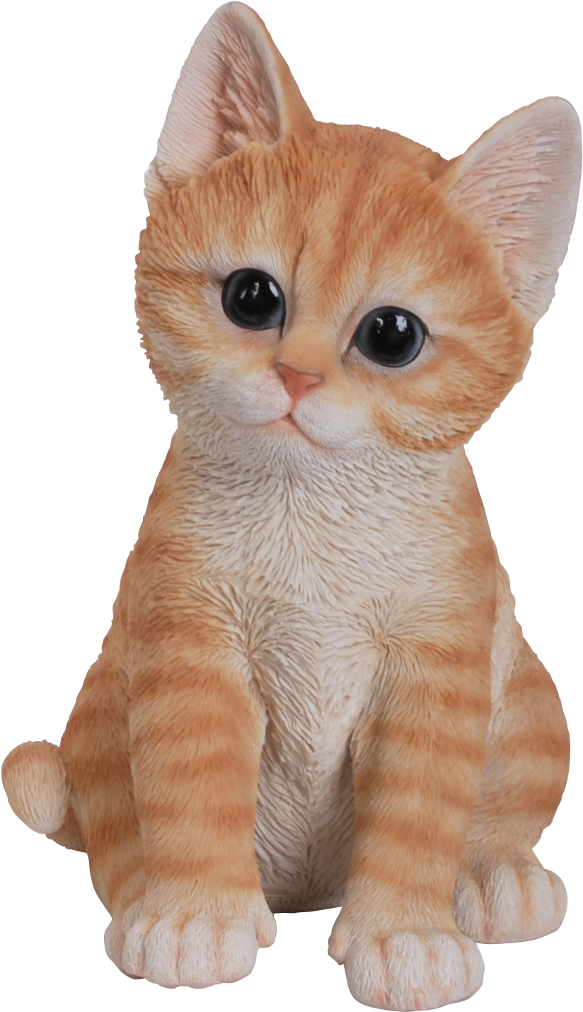 Adorable Orange Kitten Plush PNG