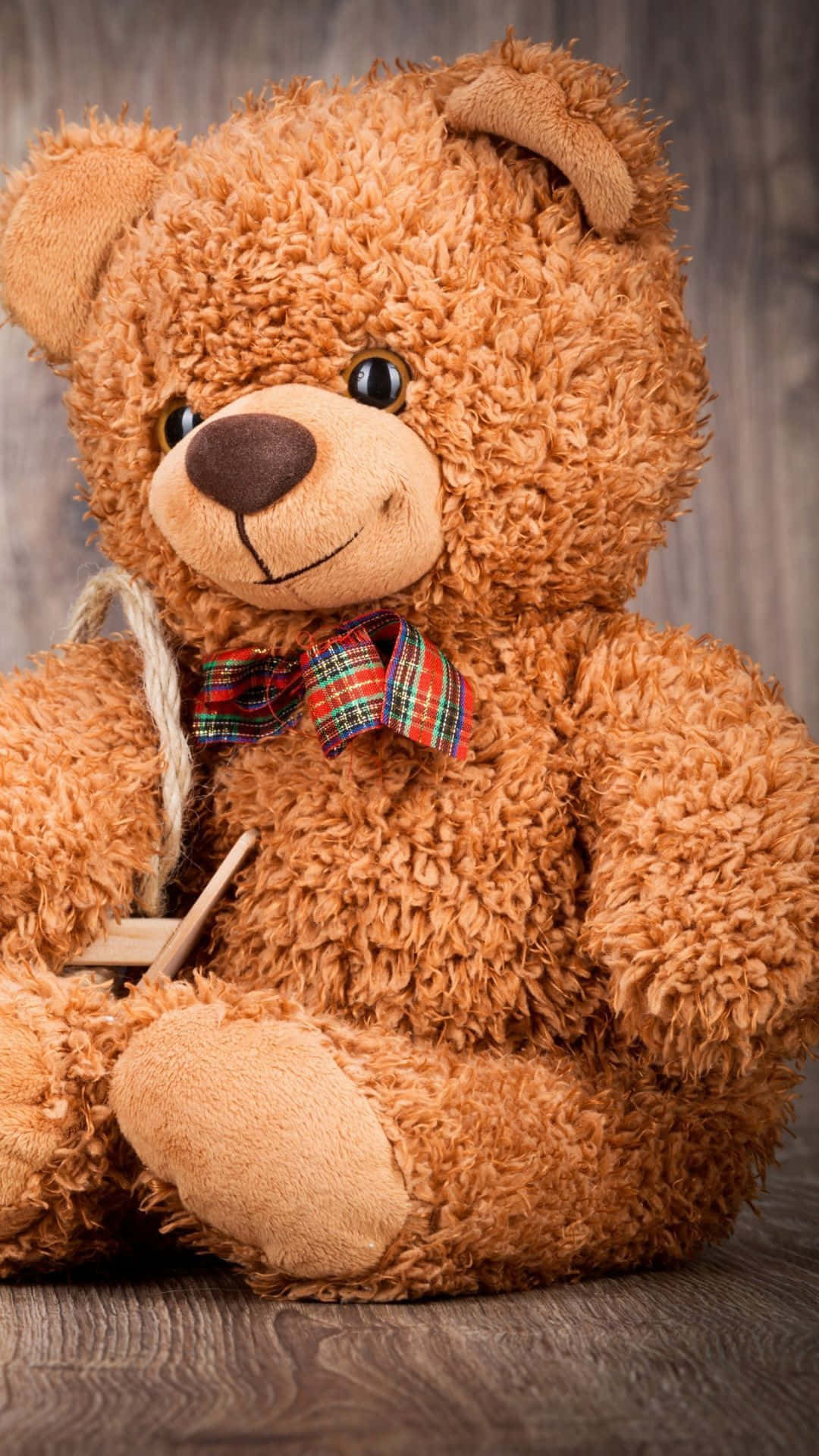 Adorable Teddy Bear On Vibrant Background