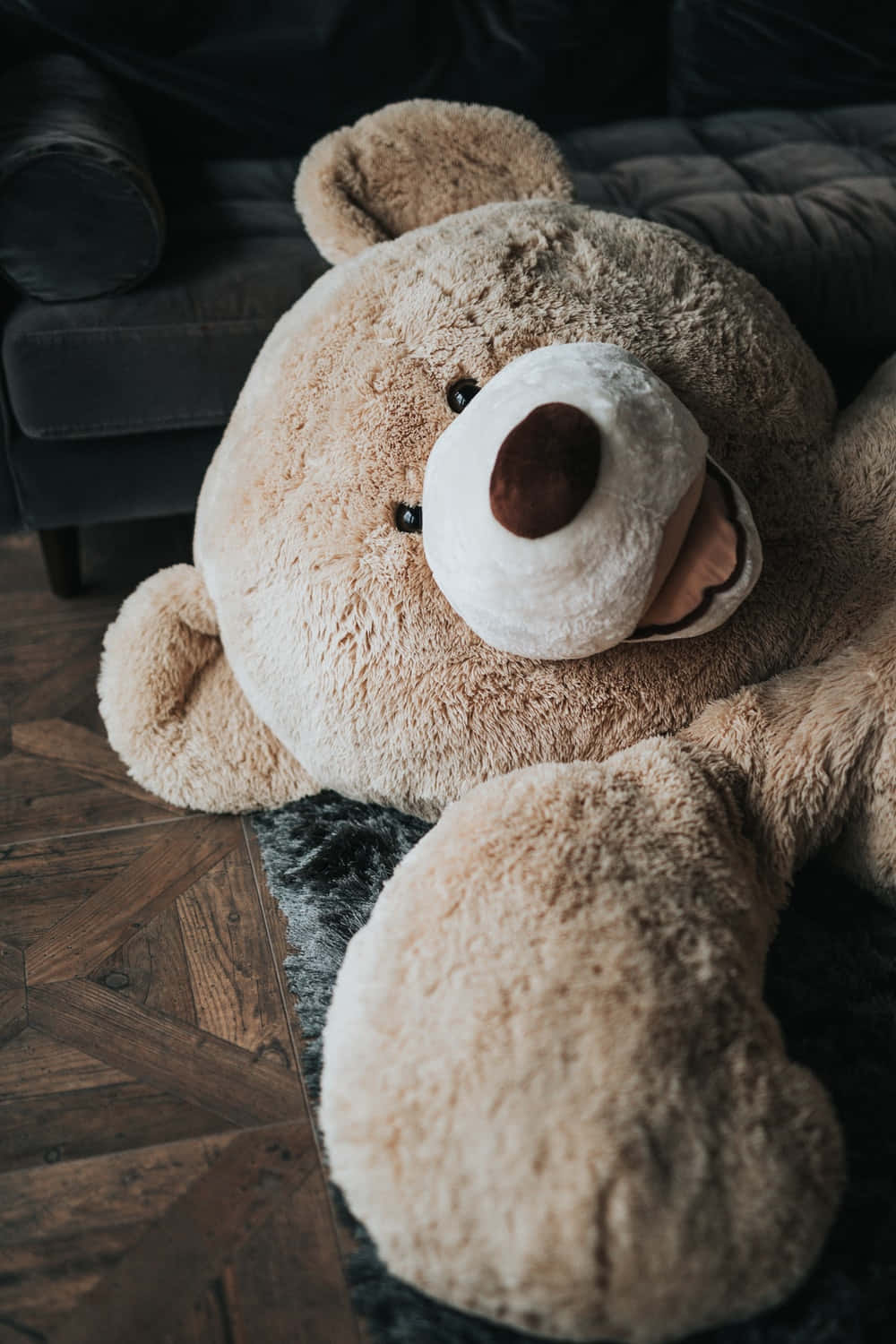 Adorable Teddy Bear Wallpaper