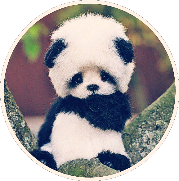 Adorable_ Panda_ Plush_ Toy PNG