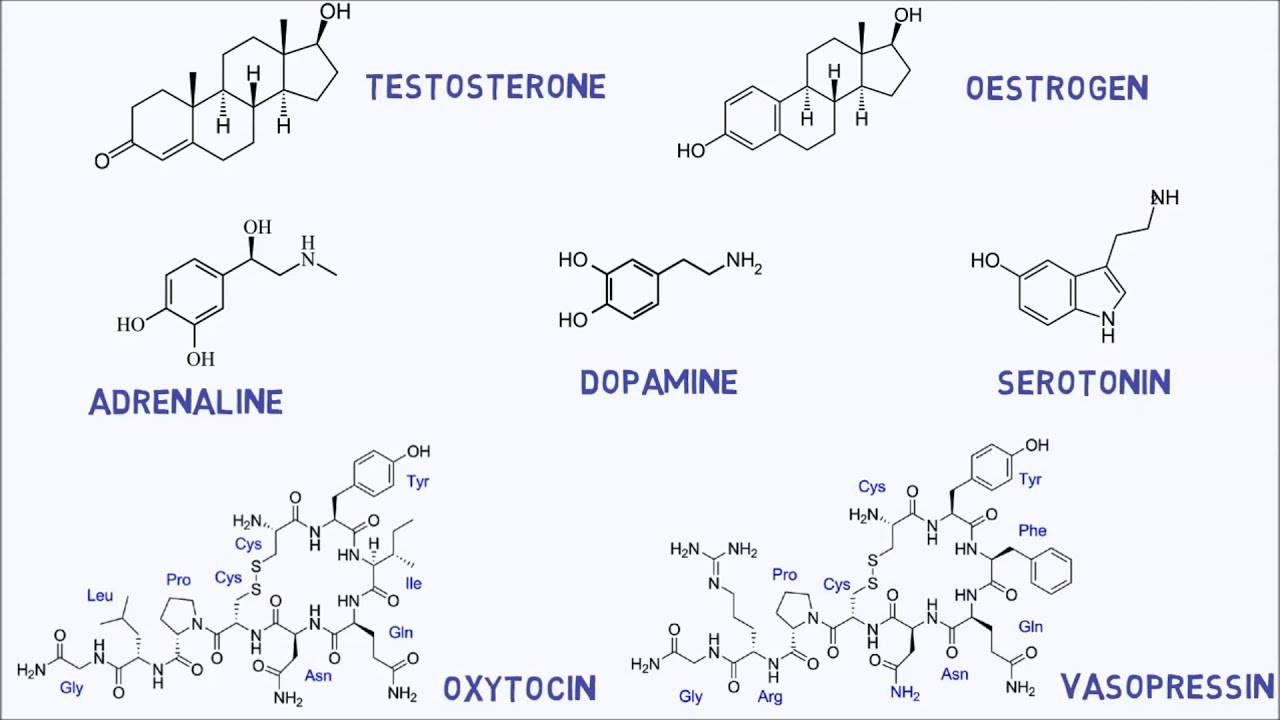 Adrenaline Dopamine Chemistry Formula Wallpaper