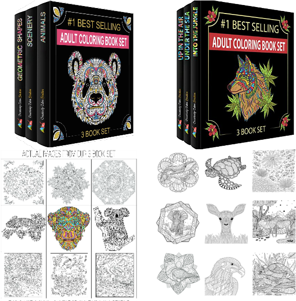Adult Coloring Book Set Showcase PNG