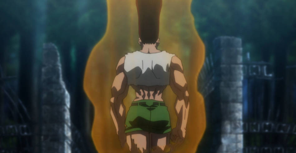 Adult Gon Fiery Power Picture