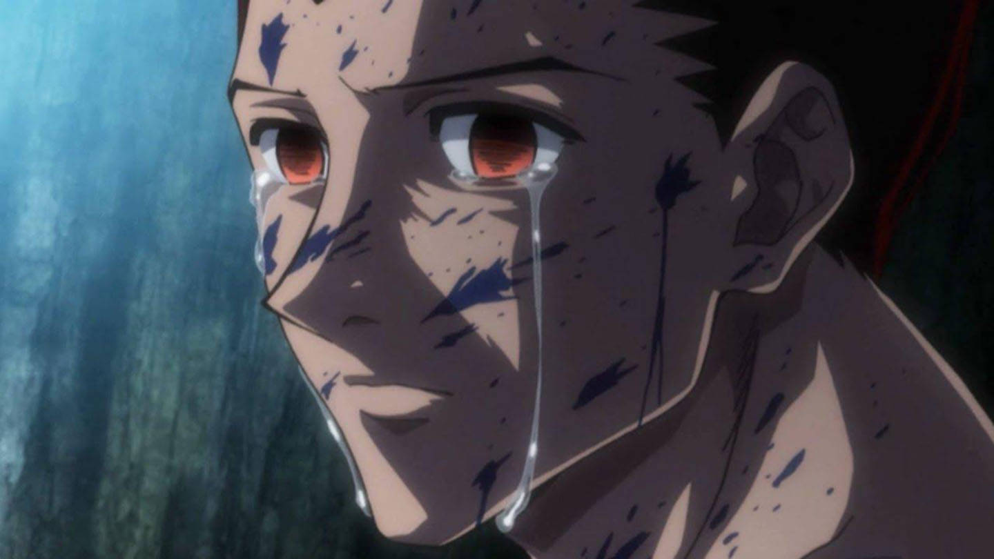 Adult Gon In Tears Picture