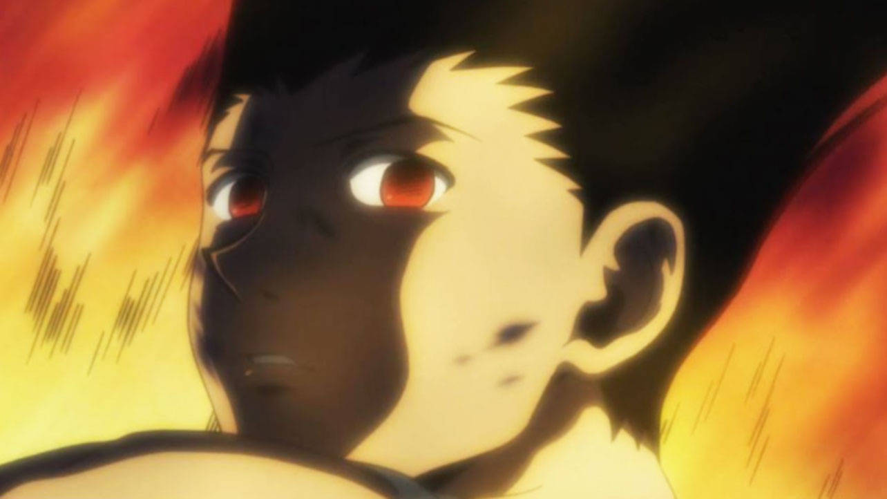 Adult Gon Reddish Eyes Picture