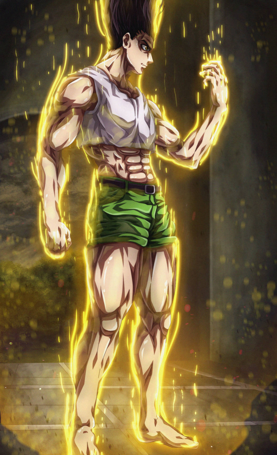 Adult Gon Transformation Picture