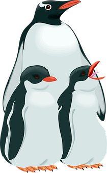 Adult_ Penguin_ With_ Chicks_ Vector_ Illustration.jpg PNG