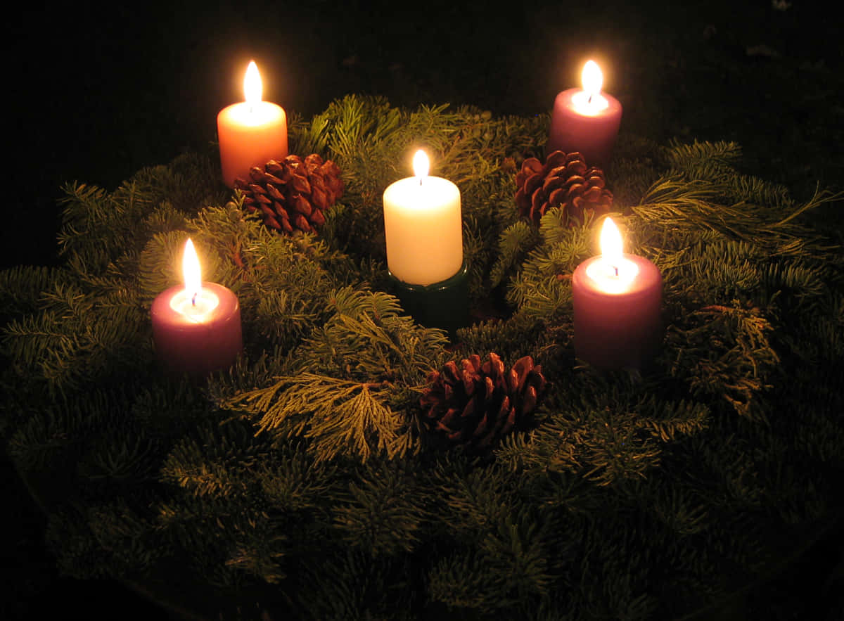 A lit Advent candle and an evergreen tree evoke the spirit of the season.