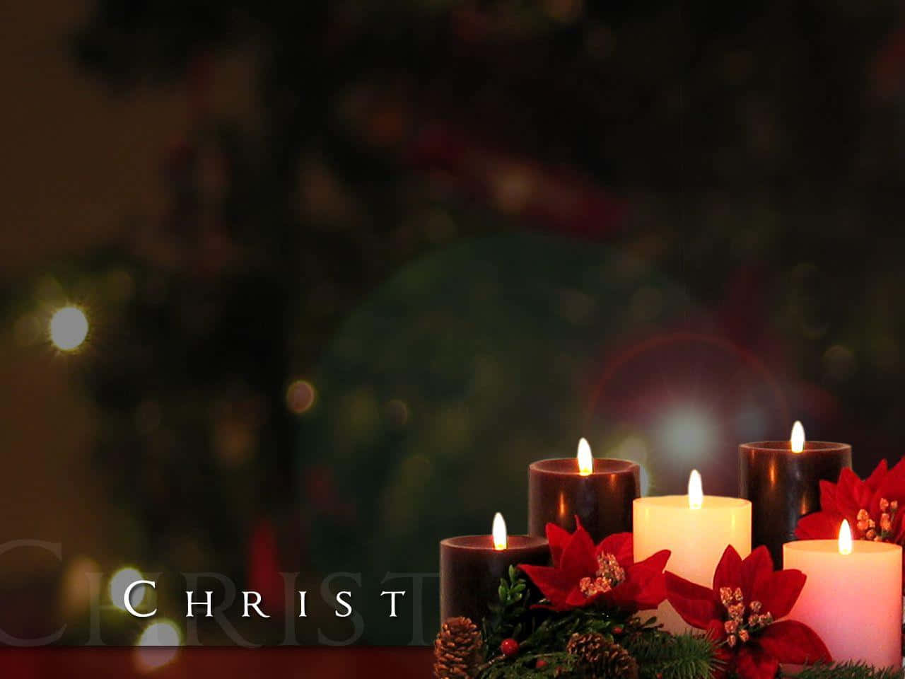 Celebrate the Season of Advent