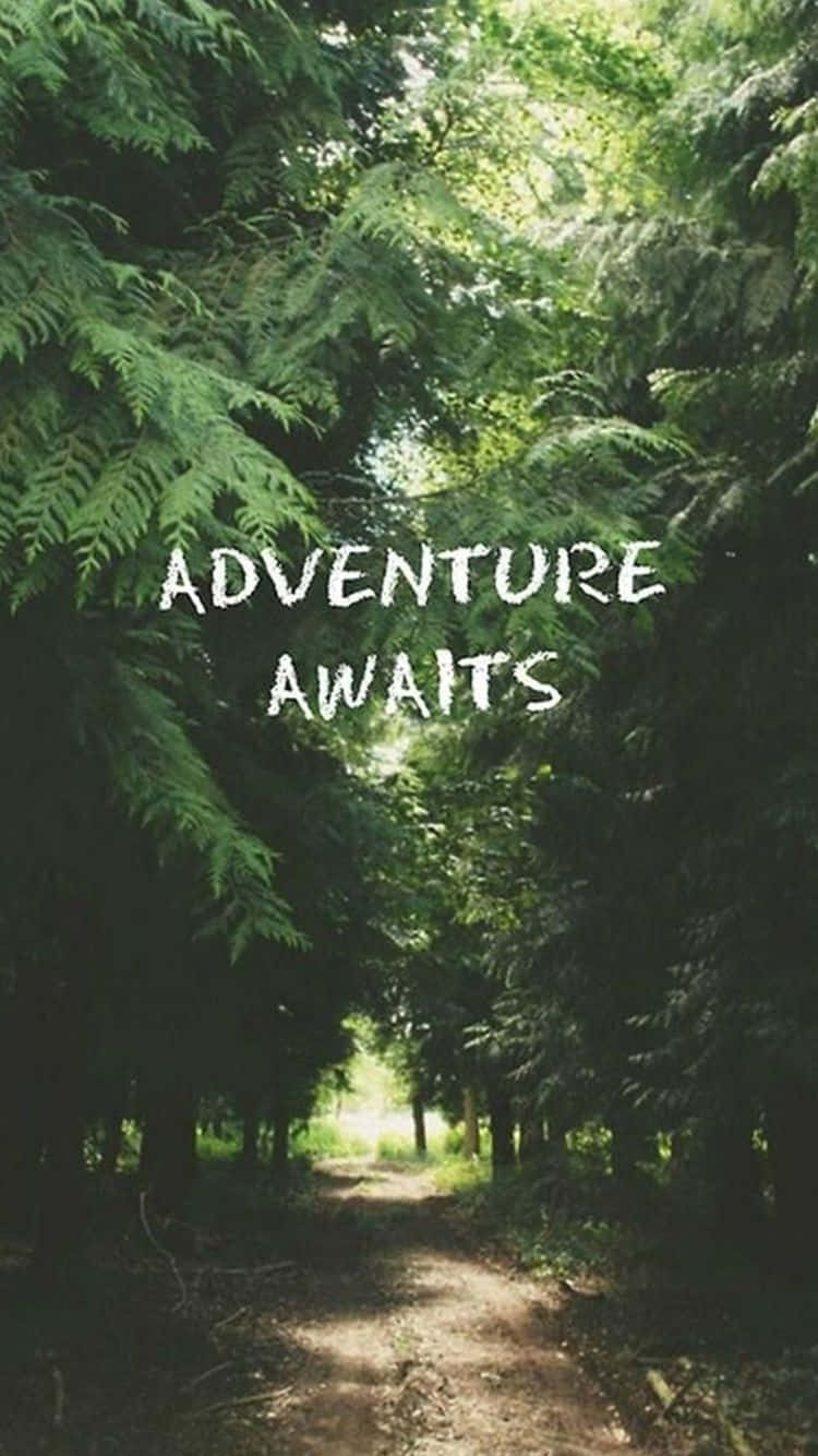 Adventure Awaits Quote Graphics Picture