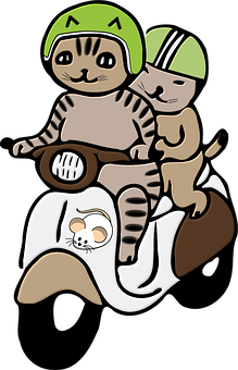 Adventure Catson Motorcycle PNG