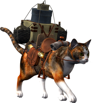Adventure Ready Catwith Backpack PNG