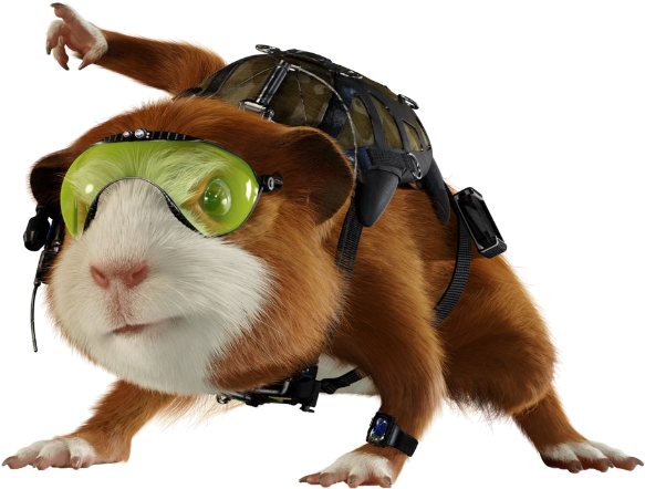 Adventure Ready Guinea Pig PNG